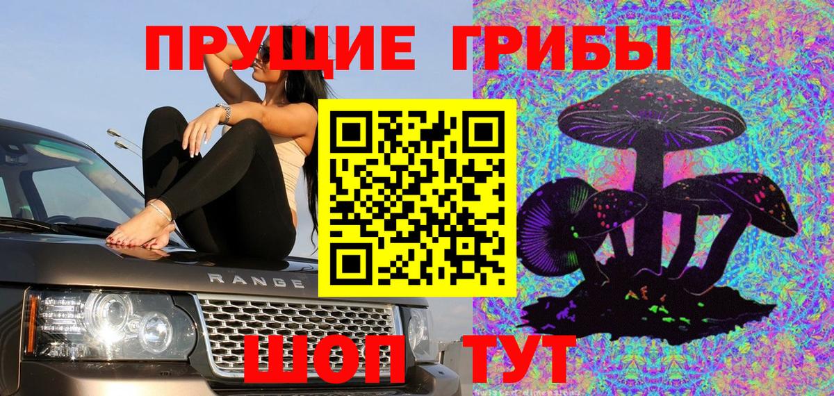 Псилоцибиновые грибы Psilocybine cubensis  Вход с VPN  Карачаевск 