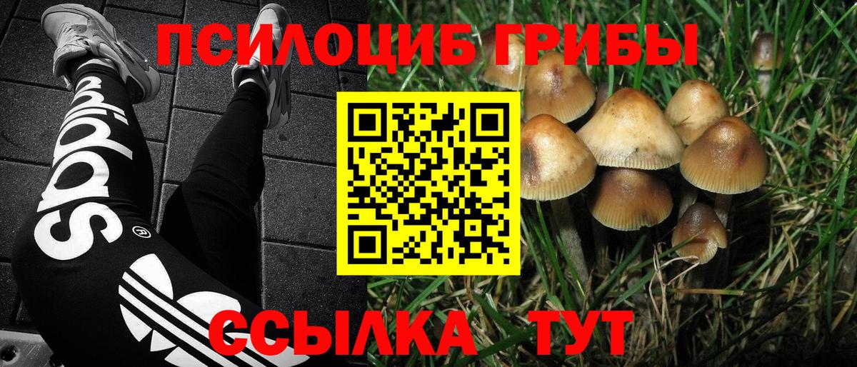 Карачаевск  Вход с VPN  APVP СК   Кокаин  Меф   Героин  Метамфетамин  Канабис  ГАШИШ 