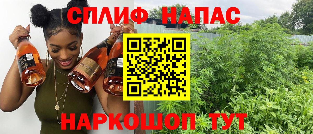 Бошки марихуана THC 21% Карачаевск